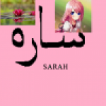 Illustration du profil de sarsar2005