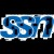 Logo du groupe SSN